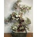 20016 , Large jade bonsai   ### SOLD ###