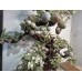 20016 , Large jade bonsai   ### SOLD ###